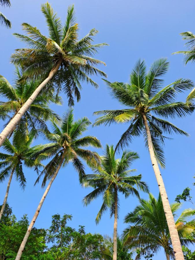 Gam Bay Bungalow'S بصير المظهر الخارجي الصورة