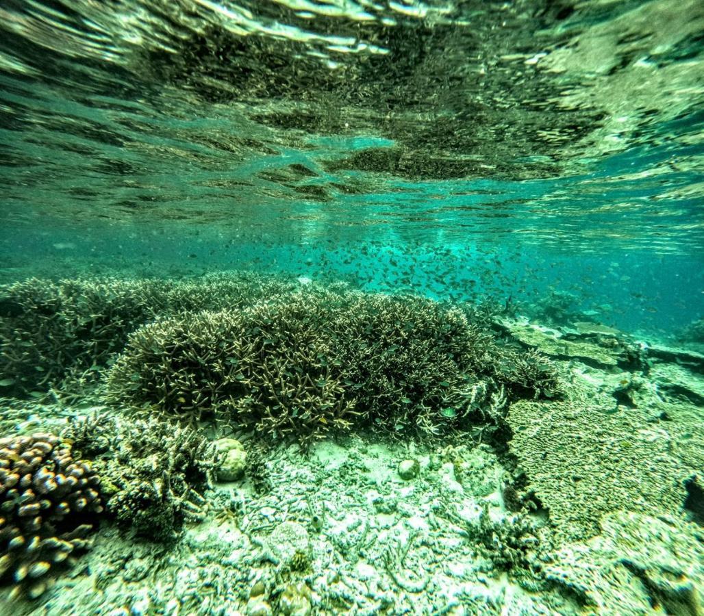 Gam Bay Bungalow'S بصير المظهر الخارجي الصورة