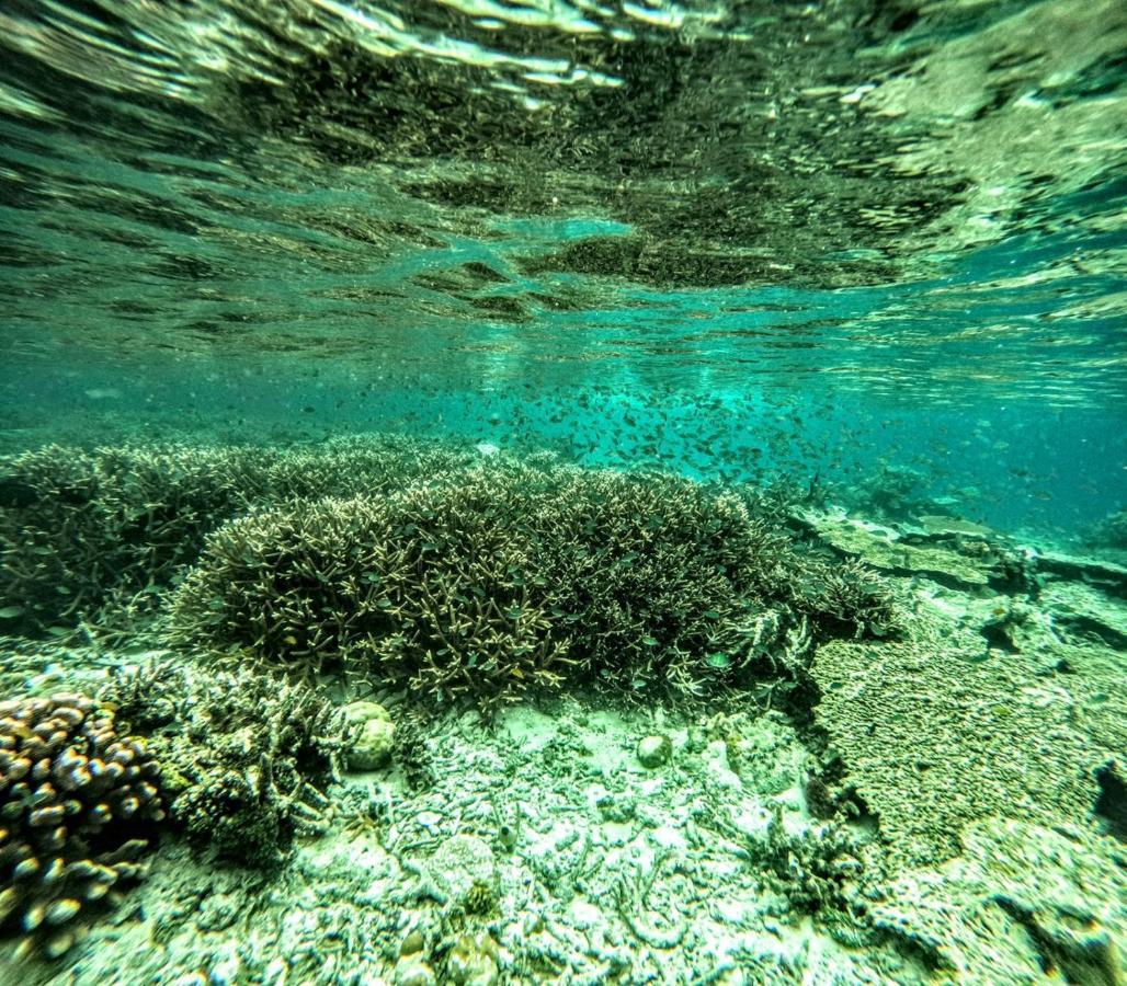 بصير Gam Bay Bungalow'S المظهر الخارجي الصورة