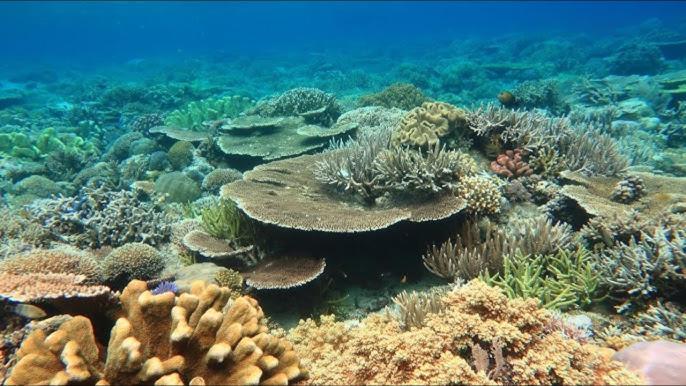 Gam Bay Bungalow'S بصير المظهر الخارجي الصورة
